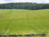 Kliknutm zvtte na obrzek s vysokm rozlienm